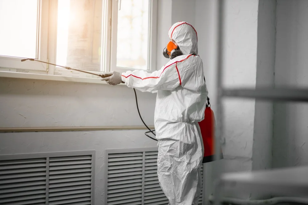 Professional mold remediation services in Sedro Woolley, WA
